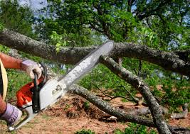 Soil Testing and Treatment in Wetumpka, AL